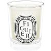 Diptyque Bougie Parfumee Figuier Wholesale