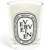 Diptyque Bougie Parfumee Verveine Online