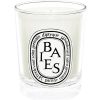 Diptyque Bougie Parfumee Baies Wholesale