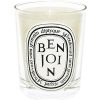 Diptyque Bougie Parfumee Benjoin New