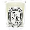 Diptyque Bougie Parfumee Freesia Best