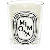 Diptyque Bougie Parfumee Mimosa Online